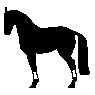 cheval2
